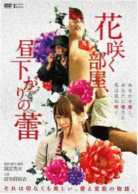 雾港回声电影封面